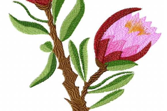 Protea Artichoke Review